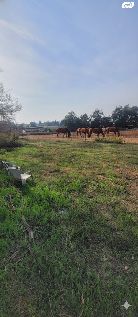 משק חקלאי/ נחלה