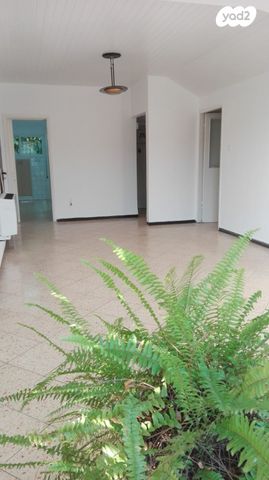 דירה, יוסף שפרינצק, אחדות, פתח תקווה