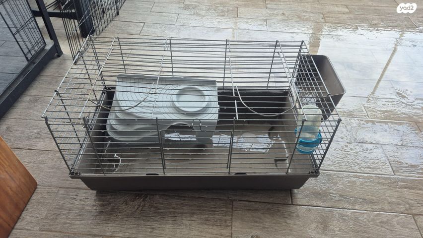 תמונת מודעה - חיות מחמד