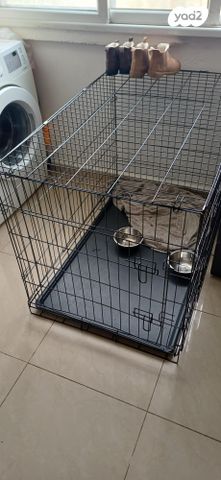 תמונת מודעה - חיות מחמד