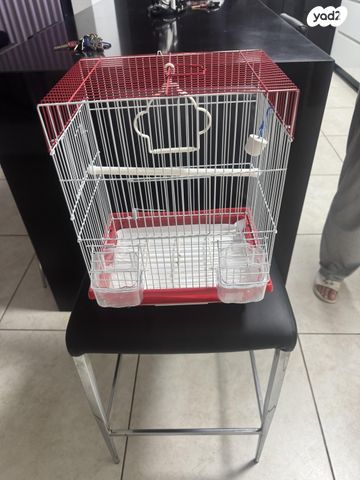 תמונת מודעה - חיות מחמד