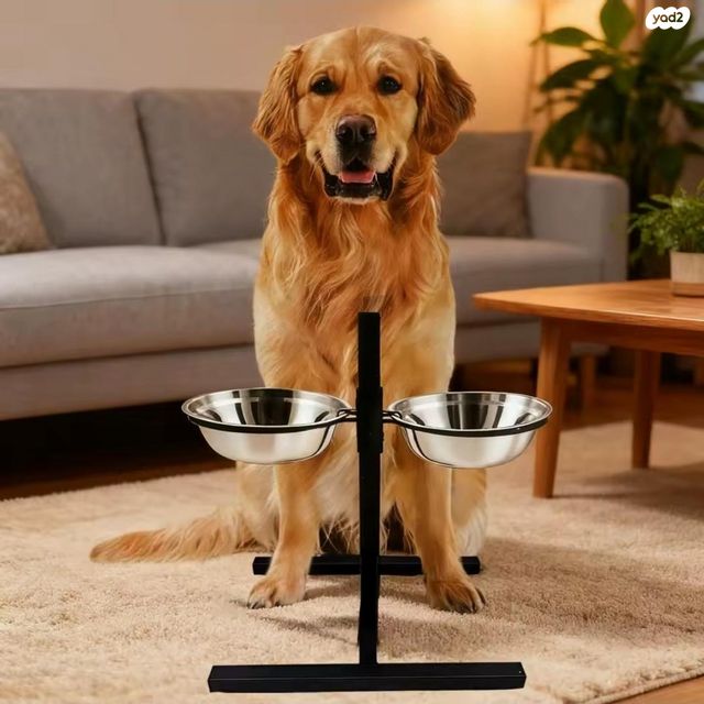 תמונת מודעה - חיות מחמד