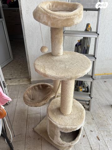 תמונת מודעה - חיות מחמד