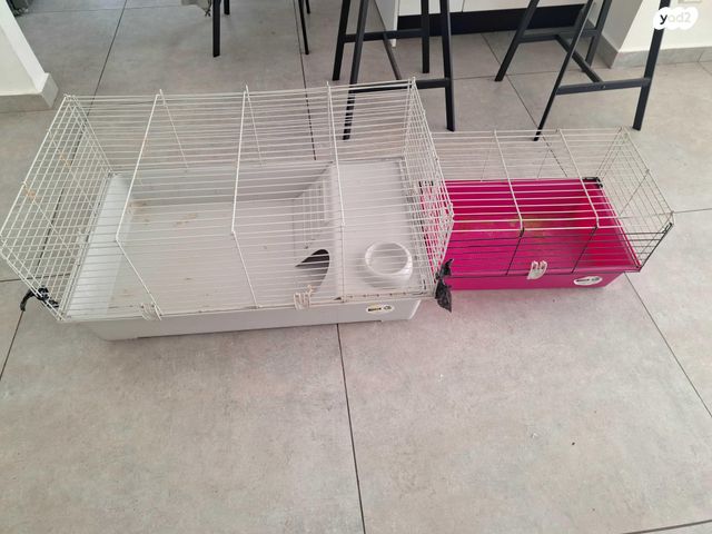 תמונת מודעה - חיות מחמד