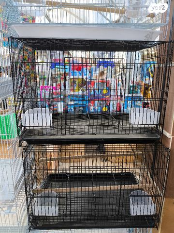 תמונת מודעה - חיות מחמד