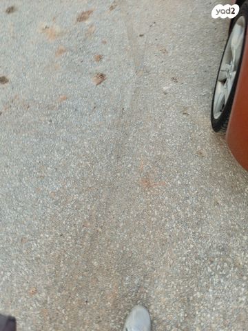 יונדאי ולוסטר