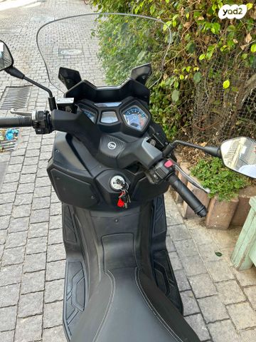 סאן יאנג ג'וי-מקס Z-250