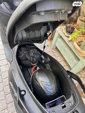 סאן יאנג ג'וי-מקס Z-250