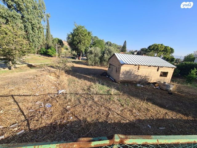 סלומונוביץ 3