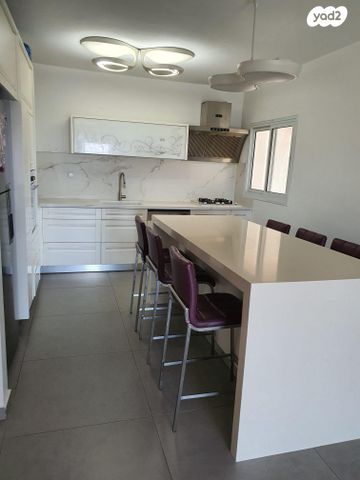 אריה עוזר 16