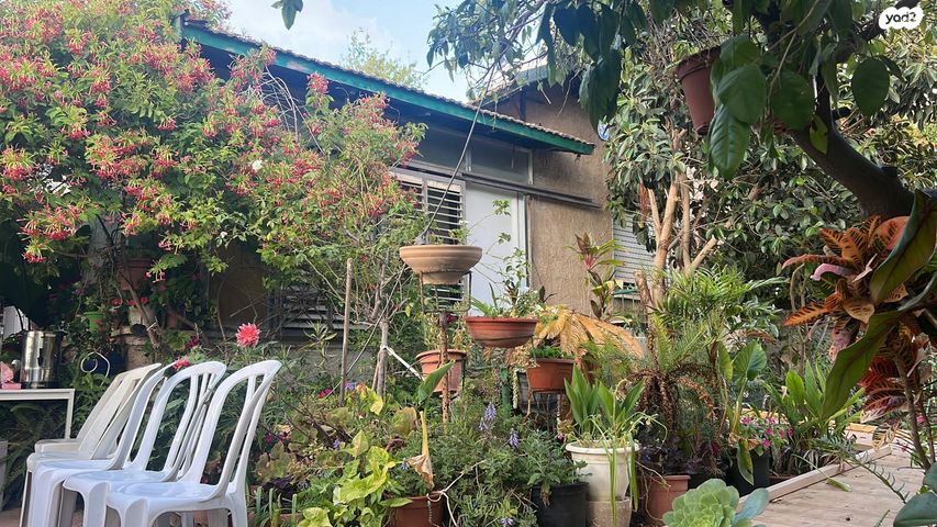 אליהו גולומב 53