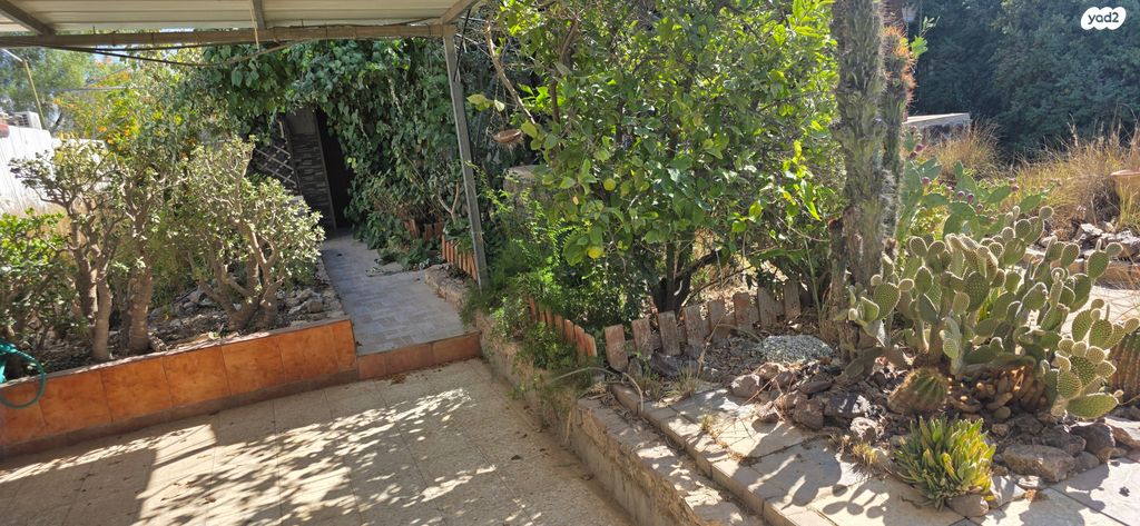 דו משפחתי, הערבה 9, נעורים, ערד