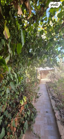 דו משפחתי, הערבה 9, נעורים, ערד