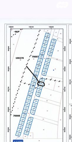 מגרשים, יהדות אוסטריה 1, רמת יורם, נתיבות