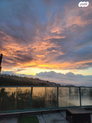 אליהו פרומצ'נקו 8