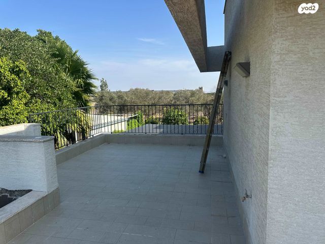 בית פרטי/ קוטג', השקד 202, שרונה, שרונה