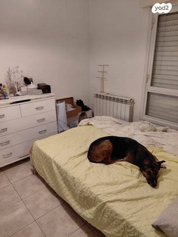 דירה, אלכסנדר רובוביץ' 2, ארמון הנציב, תלפיות מזרח, ירושלים