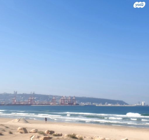 שדרות דגניה 41