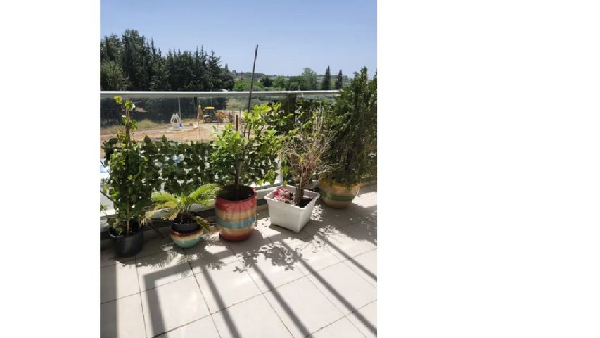 דירה, מצדה 14, אורנים, מעלות תרשיחא