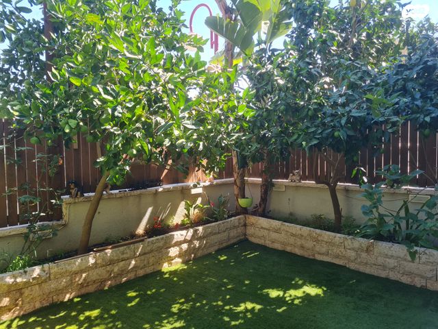 דירת גן, הערבה 5, רובע ג', אריאל