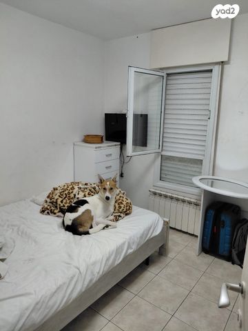 אלכסנדר רובוביץ' 2