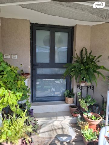 דירת גן, אלזיתון 1, דאלית אל כרמל, דאלית אל כרמל