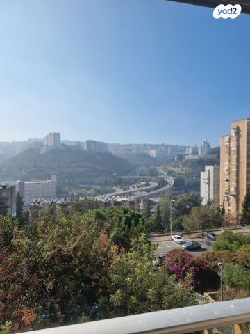 יעקב קליבנוב 41