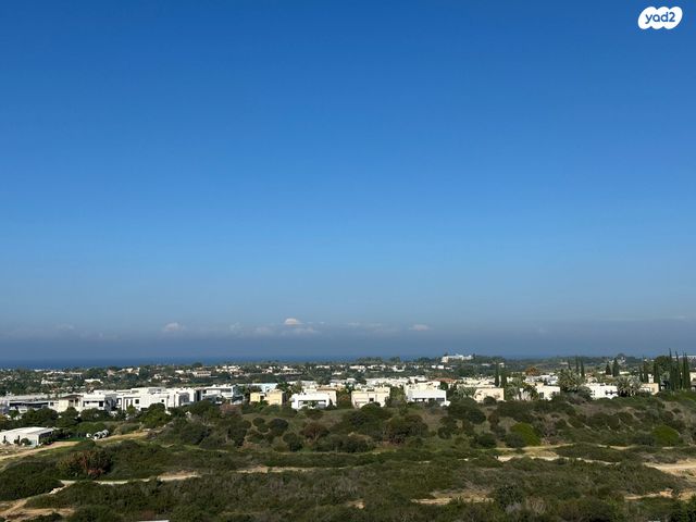 שדרות דוד המלך 62