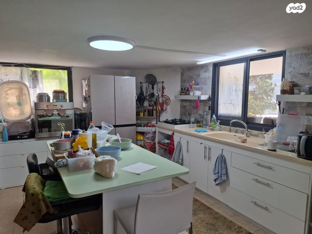 דירת גן, אלזיתון 1, דאלית אל כרמל, דאלית אל כרמל