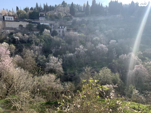 גג/ פנטהאוז, מבוא השער 3, עין כרם, ירושלים