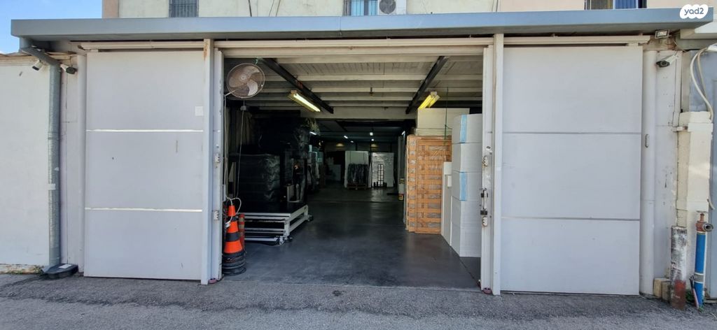 אריה שנקר 13