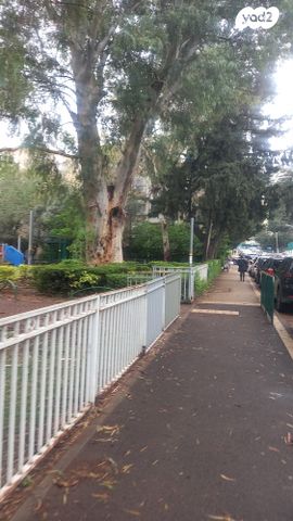 דירה, יצחק שדה, המושבה הגרמנית, חיפה