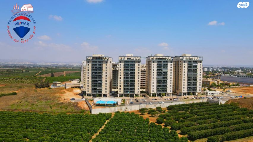 חנה רובינא 5