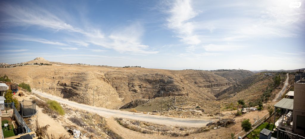 דו משפחתי, תכלת מרדכי, תקוע
