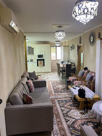 דירה, האילן, מנחם בגין, עכו