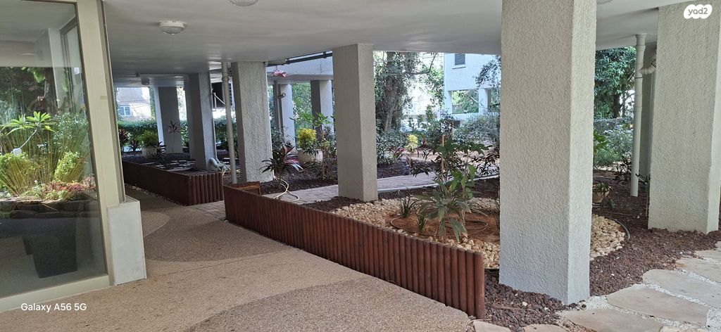 דירה, בן גוריון 8, רעננה