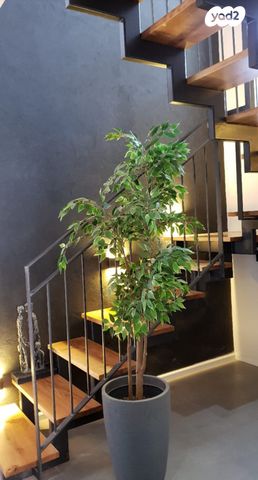 דופלקס, שאר העיר, הוד השרון