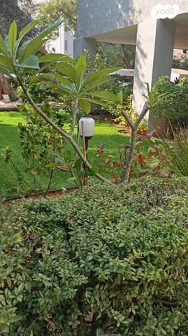 דירה, בן גוריון 8, רעננה