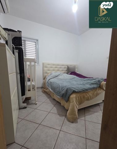 דירה, מגידו, אשקלון