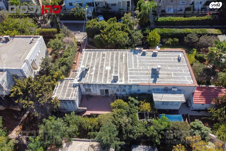 מנדלי מוכר ספרים 