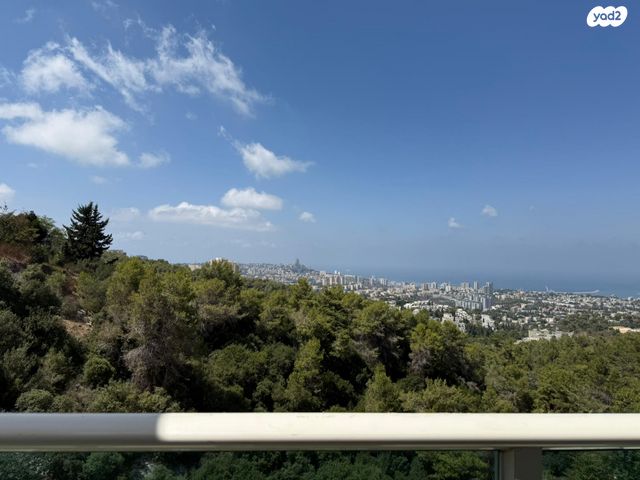 דירה, התאנה, שאר העיר, נשר