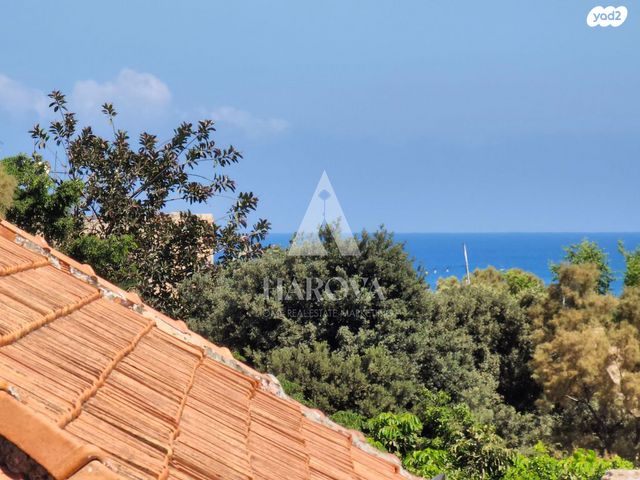 דירה, צפון יפו, המושבה האמריקאית-גרמנית, תל אביב יפו