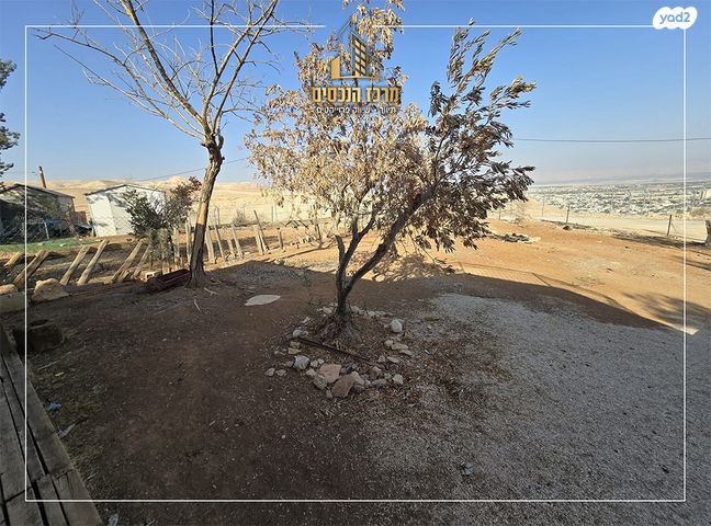 משק חקלאי/ נחלה, ורד יריחו