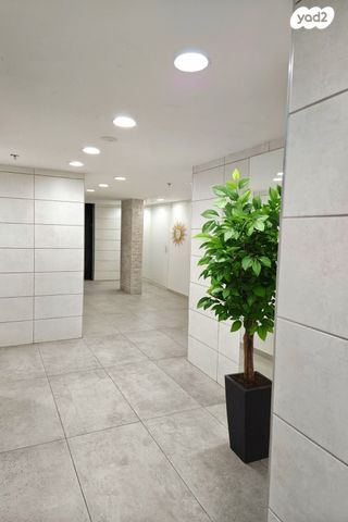 דירה, זית 5, חריש