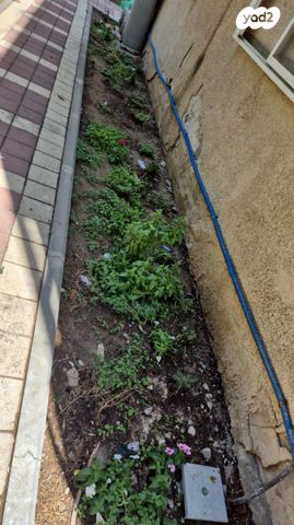 דירה, שרעבי, שכונה ג', באר שבע