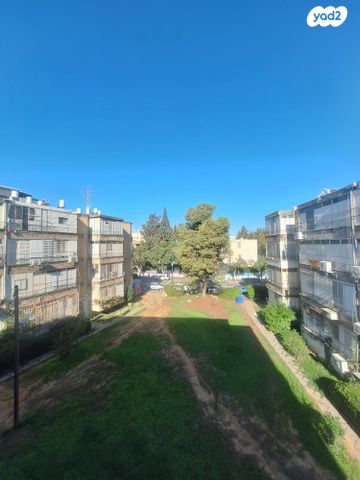 דוד וולפסון 46