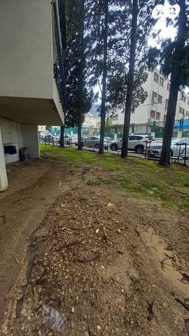 דירה, יצחק שדה, המושבה הגרמנית, חיפה