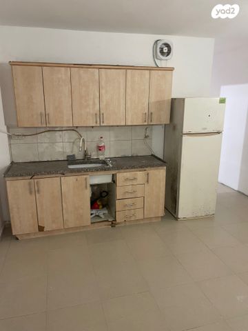 אבא ברדיצ'ב 