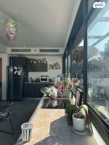 גג/ פנטהאוז, שיינקין, לב תל אביב, לב העיר צפון, תל אביב יפו