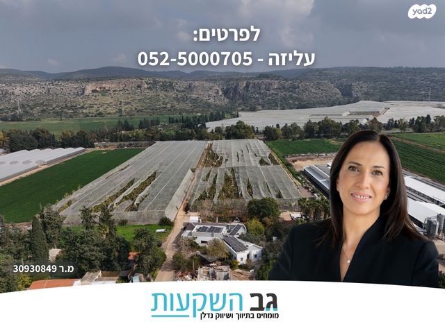 סטודיו/ לופט, מגדים